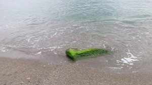 Крым, Алушта 🌅✨ Октябрь 2025 год