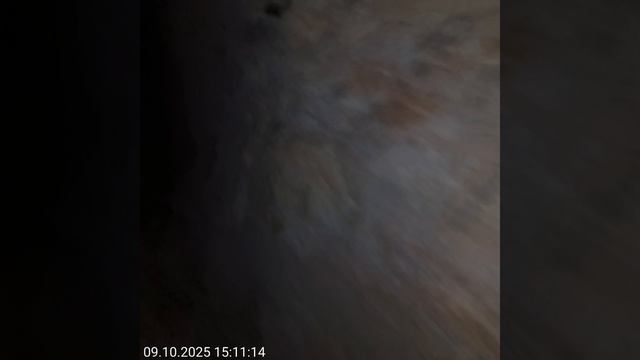 Бештау 31
