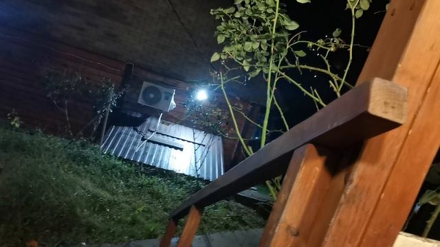 СОЧИ ГОРНОЕ ЛОО 11.10.2025