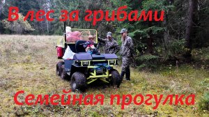 Прогулка в лес с семьёй за грибами. Покатушки на квадроцикле. Красивая русская осенняя природа.