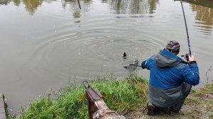 Светлые Горы Форель 11.10.2025г.