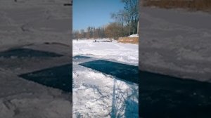 #tipi4nii_morj #типичный_морж #tipichnyimorzh ПРОРУБЬ