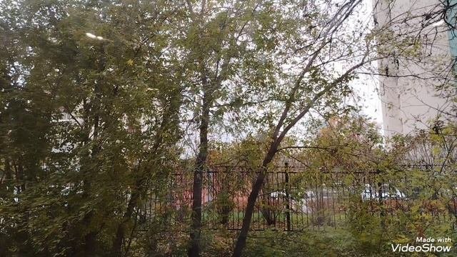 307).11.10.25.Моя городская жизнь 👩🏢🍀🍀🍀.сегодня праздник у девчат.🎊🌹👩