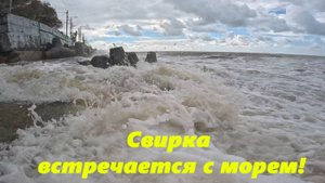 Море и Свирка! Лазаревское 2025.