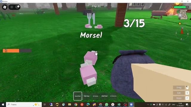 играю в 99ночей