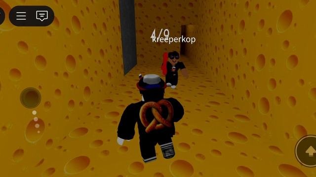 играю в ркрысу с братом
