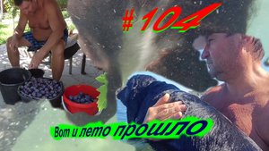 Вот и лето прошло. #104