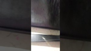 1000001878.mp4