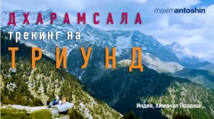 Трекинг на Триунд. Дхарамсала. Химачал прадеш. Индия