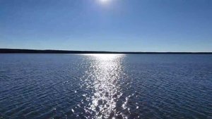 Охота на боровую дичь