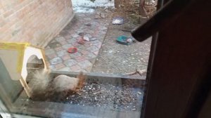 суббота в вольном зоопарке