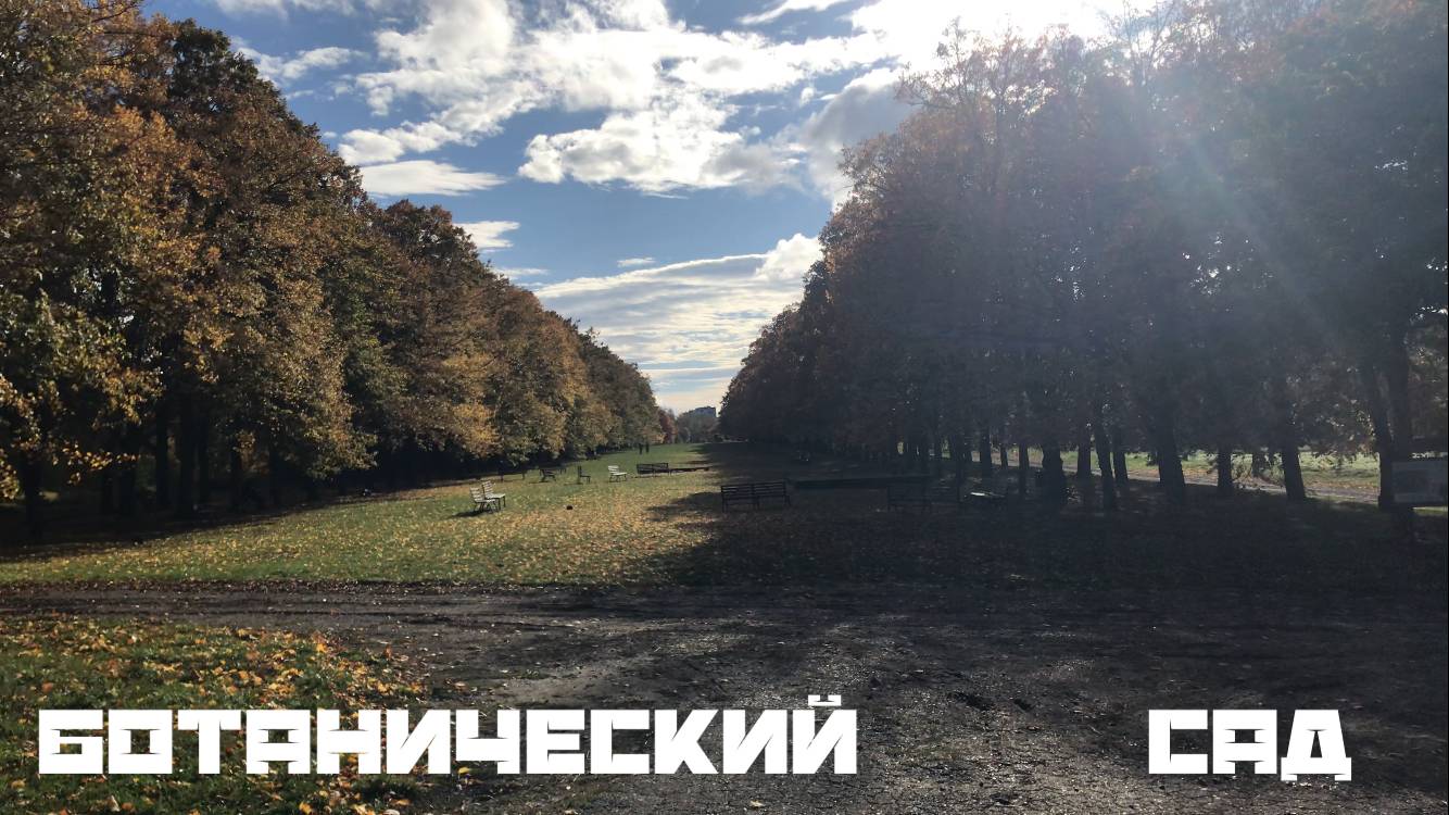 Ботанический сад