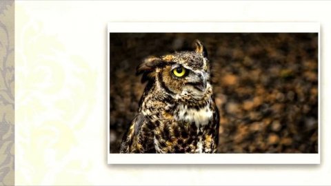 Black Ether - Presence