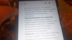 Что случилось