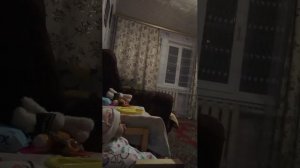 Реборн Аделина