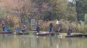 Форель клюëт. РК Фишка Липки.