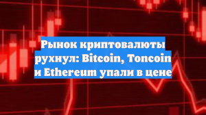 Рынок криптовалюты рухнул: Bitcoin, Toncoin и Ethereum упали в цене