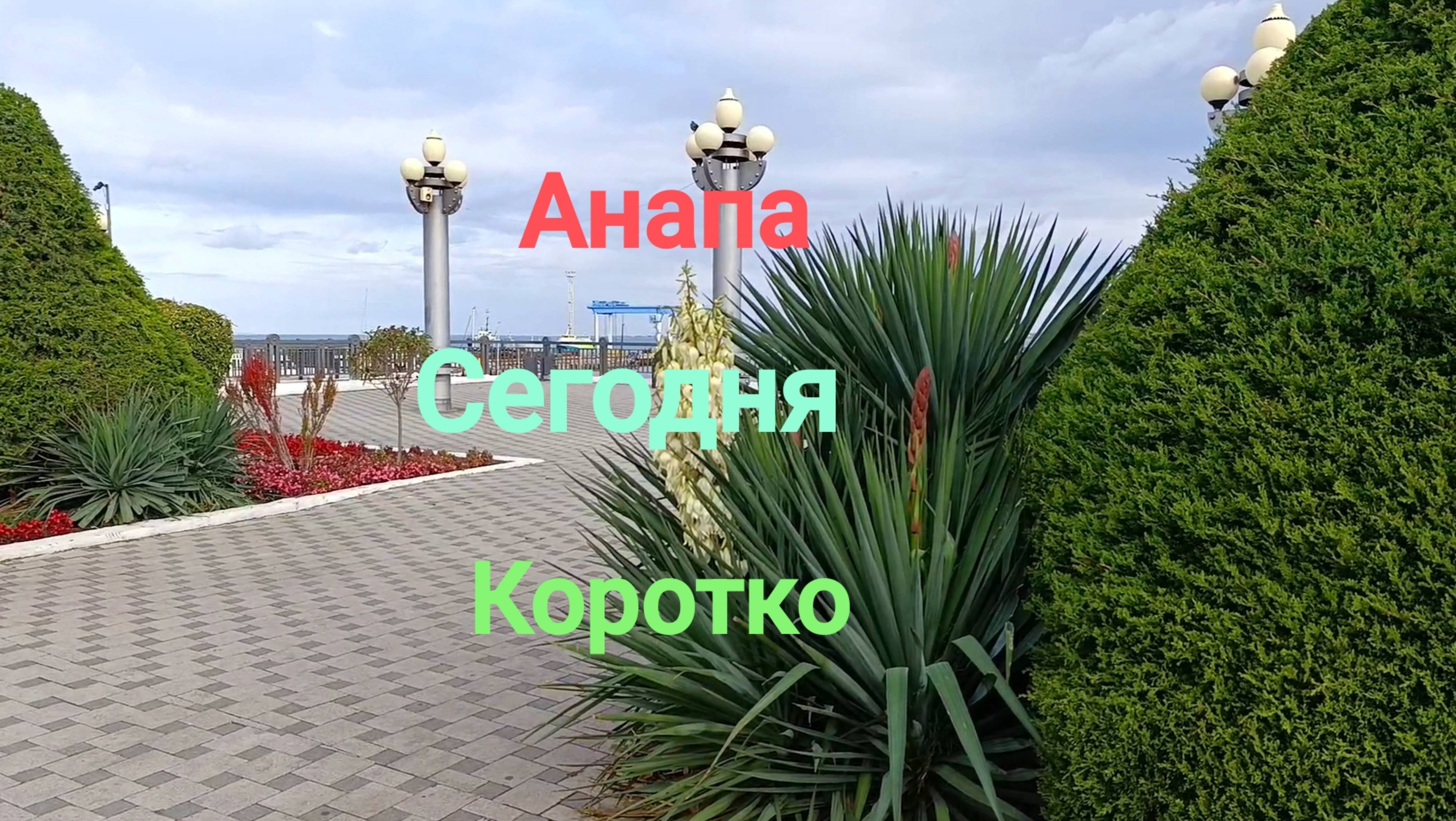 Анапа Сегодня Коротко 11.10.2025