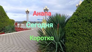 Анапа Сегодня Коротко 11.10.2025