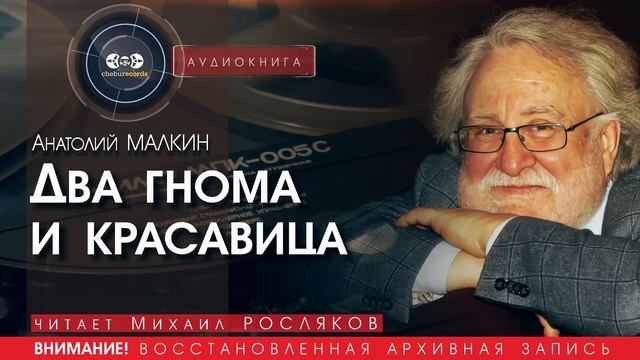 Два гнома и красавица - Анатолий МАЛКИН (читает Михаил РОСЛЯКОВ) | аудиокниги слушать бесплатно