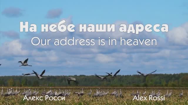 На небе наши адреса. Журавли. РУТУБ. Our address is in heaven. Cranes