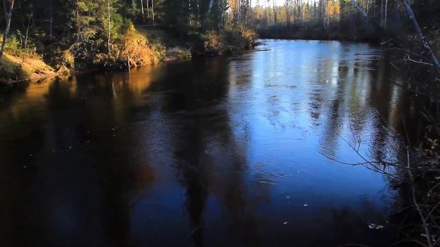 Александр Лесников. Осеннее очарование.  Alexander Lesnikov. Autumn Charm