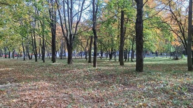 Нижний Новгород Золотая осень 30 сентября