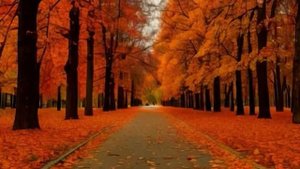 Осенние зарисовки