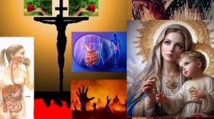 5.🏝Приключения Богослова.🙈🙊🙉🍎🐍Змеевидный кишечник. 1000005277.mp4