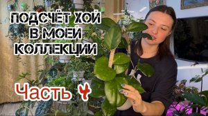 Считаем хойи в моей коллекции. Часть 4.