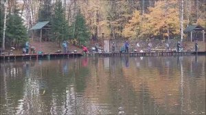 Блёсны работают на запуске. Клёвое место, Лосиный остров, спорт-зона.