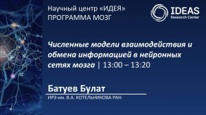 Численные модели взаимодействия и обмена информацией в нейронных сетях мозга