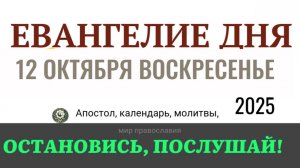 12 октября воскресенье Евангелие дня 2025 с толкованием #евангелие
