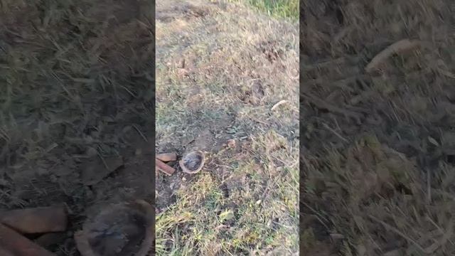 коп крутой