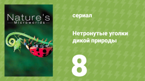 Нетронутые уголки дикой природы 8 серия «Большой Барьерный риф» (документальный сериал, 2012)