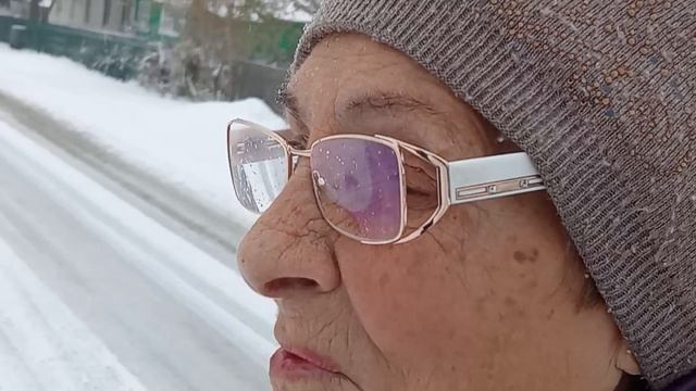 Прогулка гусей, выпал снег, 9 октября.
