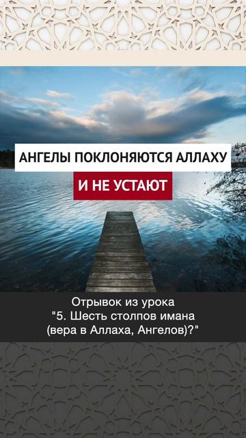 Ангелы поклоняются Аллаху и не устают || Динар абу Идрис #ислам #факты #истина #вера #коран #аллах