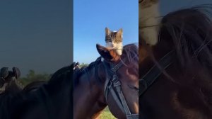 Никольский Собор. Наро-Фоминск