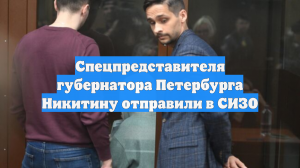 Спецпредставителя губернатора Петербурга Никитину отправили в СИЗО