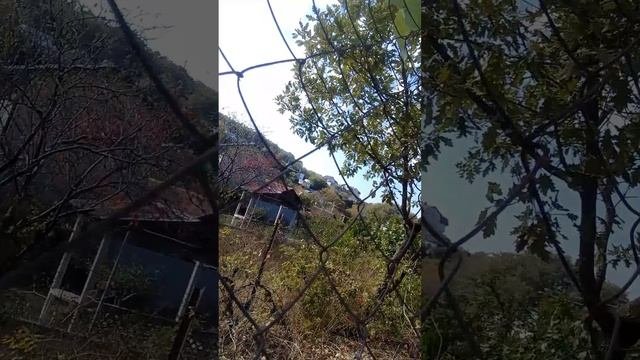 побег из тюрьмы глава 3 (небольшой юмор.)