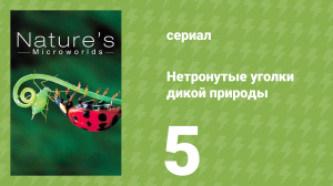 Нетронутые уголки дикой природы 5 серия «Окаванго» (документальный сериал, 2012)