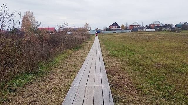В городе/опять семена😁/11.10.25