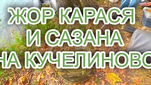 ЖОР КАРАСЯ И САЗАНА НА КУЧЕЛИНОВО