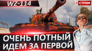 WZ-114 - Идем за Первой