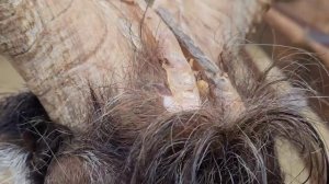 2025 - Каменск-Шахтинский - Парк Лога