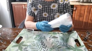 Пришла посылка с вегетативными черенками цветов! Сажаю черенки цветов.