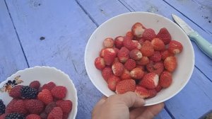 24.8.25г.  Обзор ОГОРОДА!!👍👍👍!  Какие Изменения на ОГОРОДЕ???😒