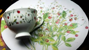 Культурная эволюция. 10 октября