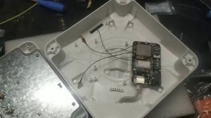 тандем 4-я категория, Петра bb mimo