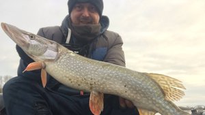 Два Заброса Две Щуки. Река Чарыш